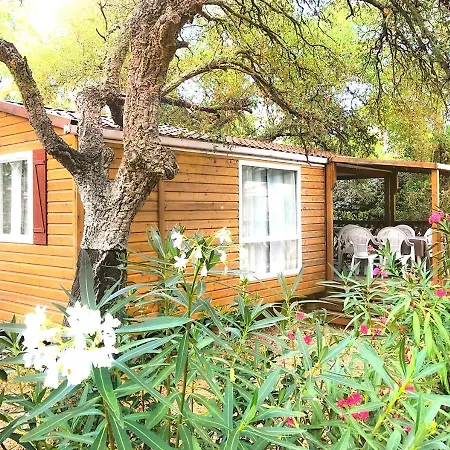 Camping Cupulatta Camping