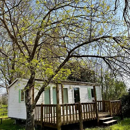 Camping Cupulatta Campsite 3*